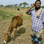 Spoken Web Services for Farmers in India