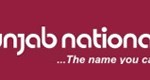 PNB Punjab National Bank Logo