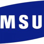 Samsung India Logo
