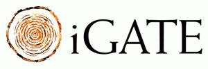 iGate Logo iGate Logo